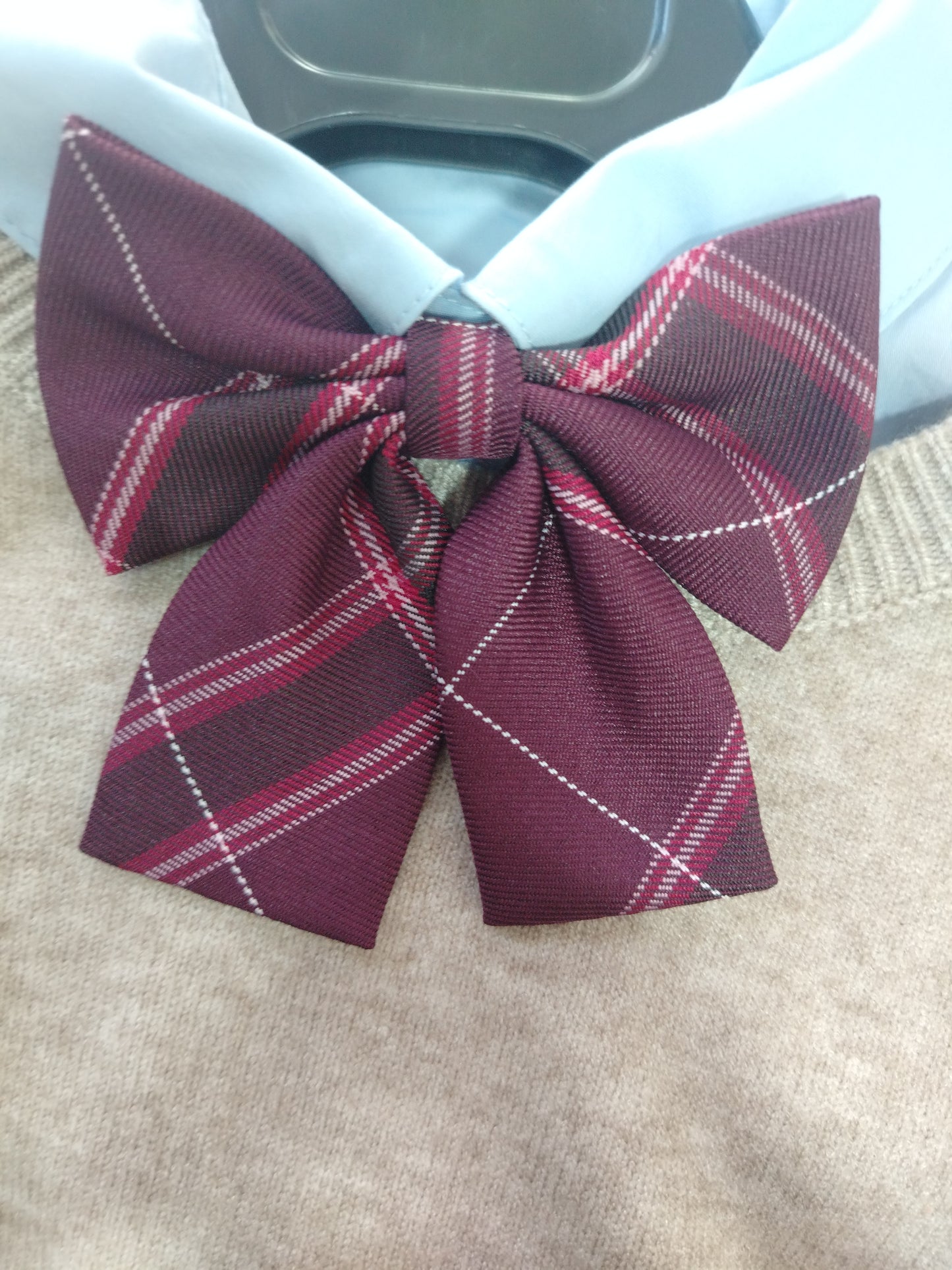 Papillon scozzese