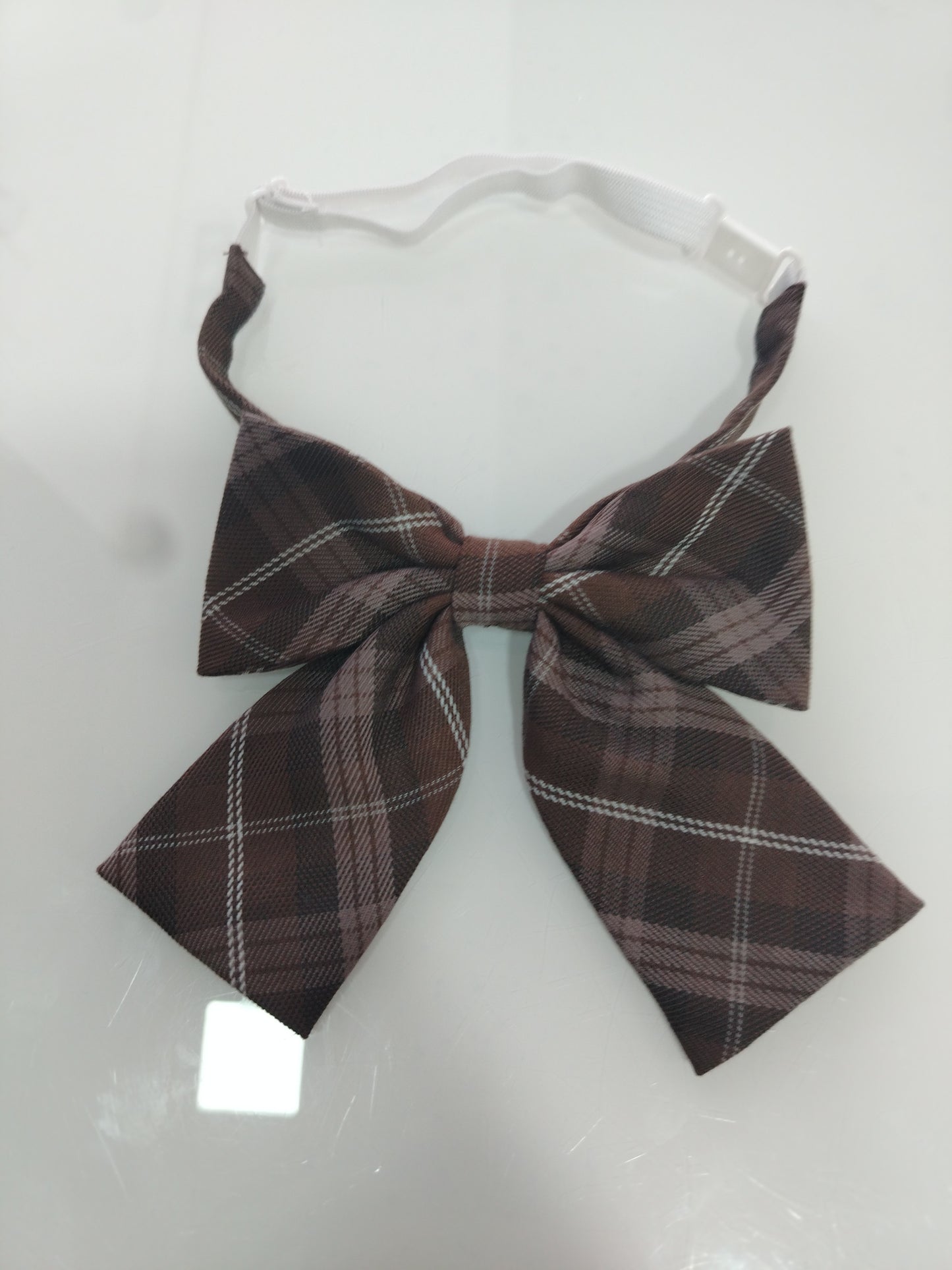Papillon scozzese